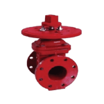 Válvula Compuerta de 6” NRS Bridada